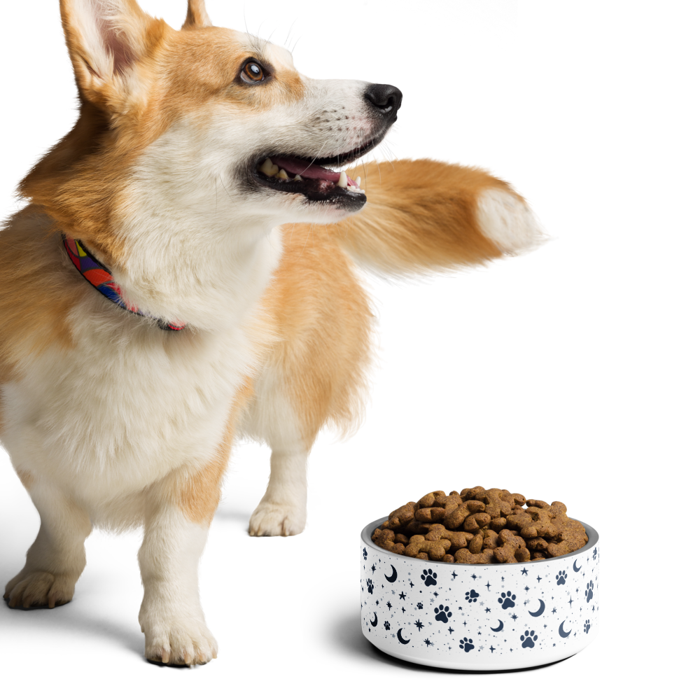 Lunar Pet Bowl — Celestial Companion