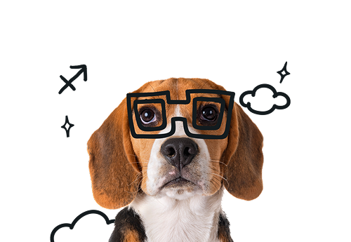 Sagittarius Dog Personality: The Bold, Happy, Adventure-Seeking Pup