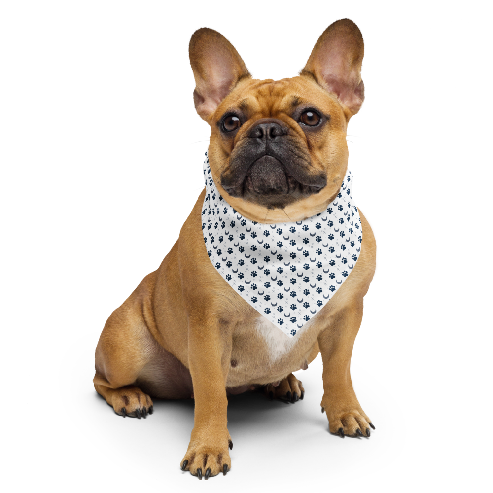 Lunar Bandana — Celestial Companion