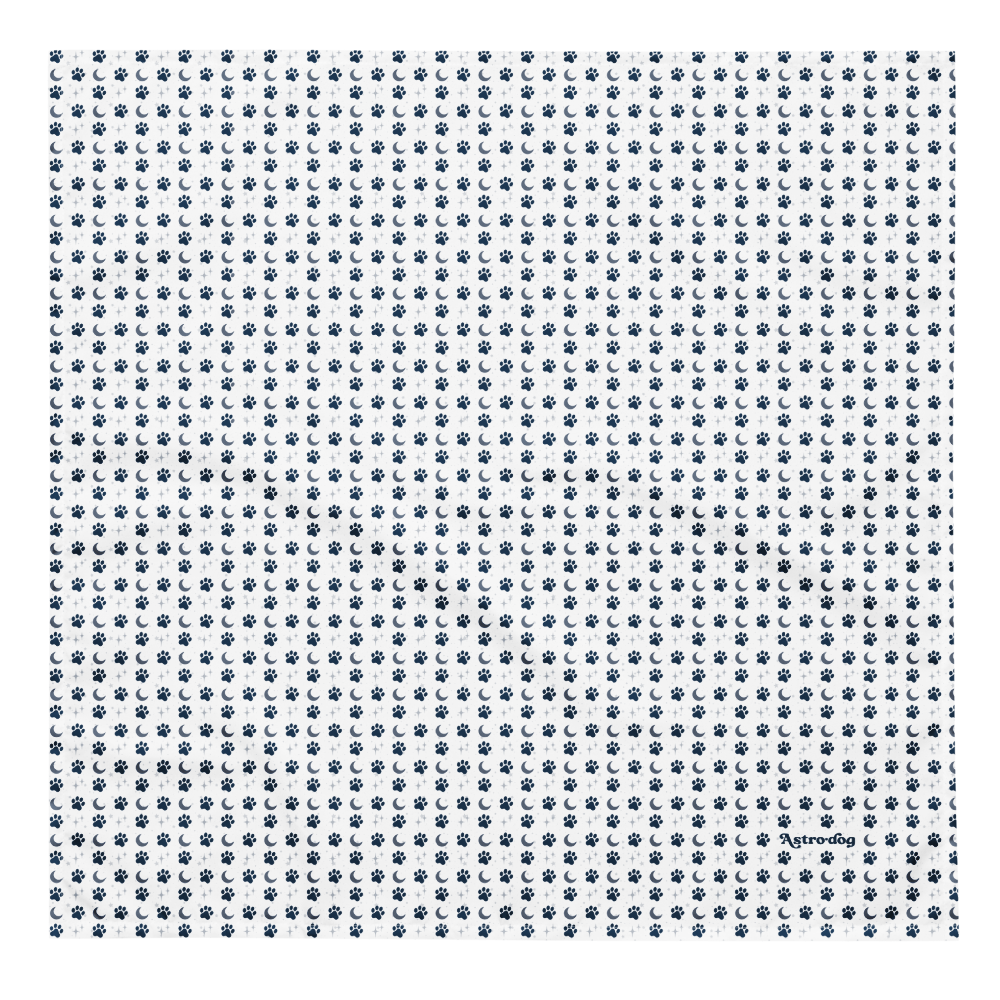 Lunar Bandana — Celestial Companion