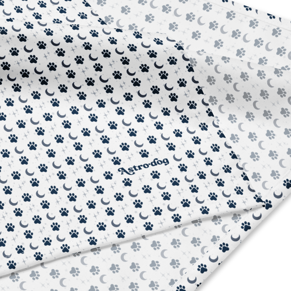 Lunar Bandana — Celestial Companion