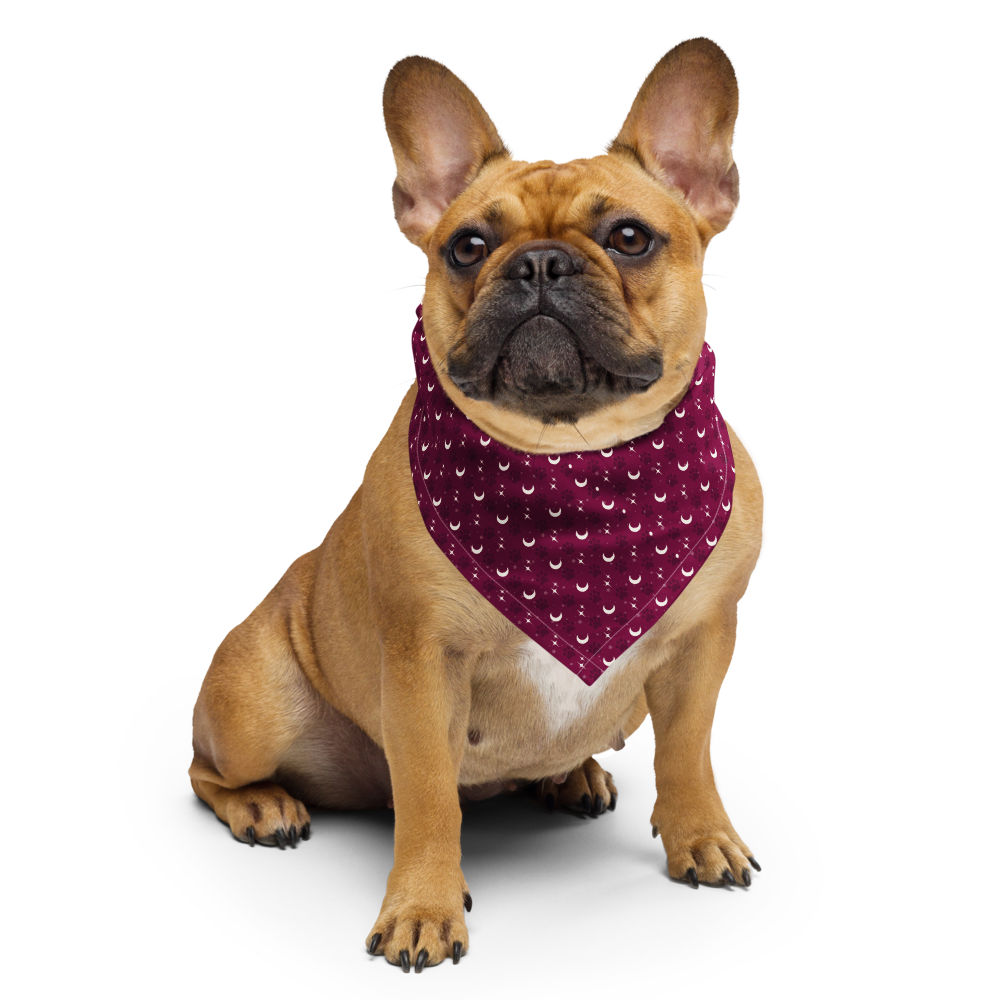 Lunar Bandana — Celestial Companion