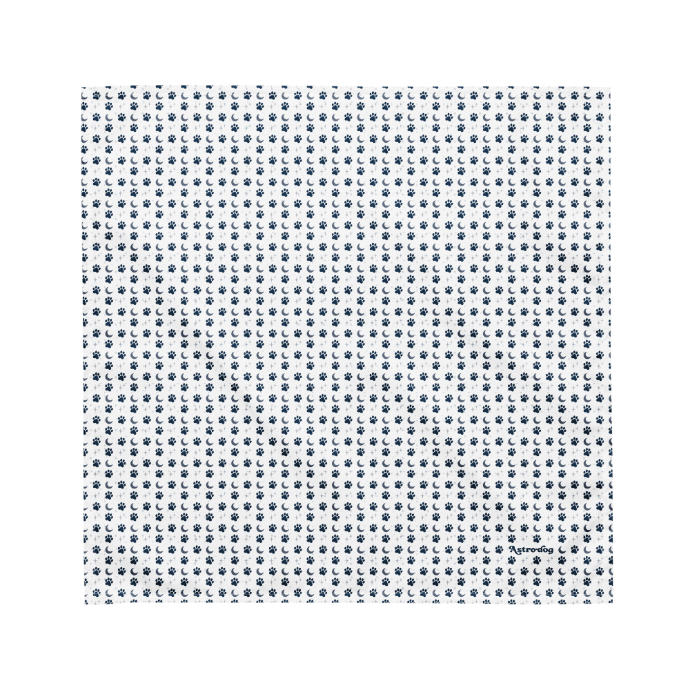 Lunar Bandana — Celestial Companion