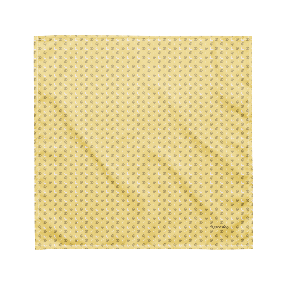 Lunar Bandana — Celestial Companion