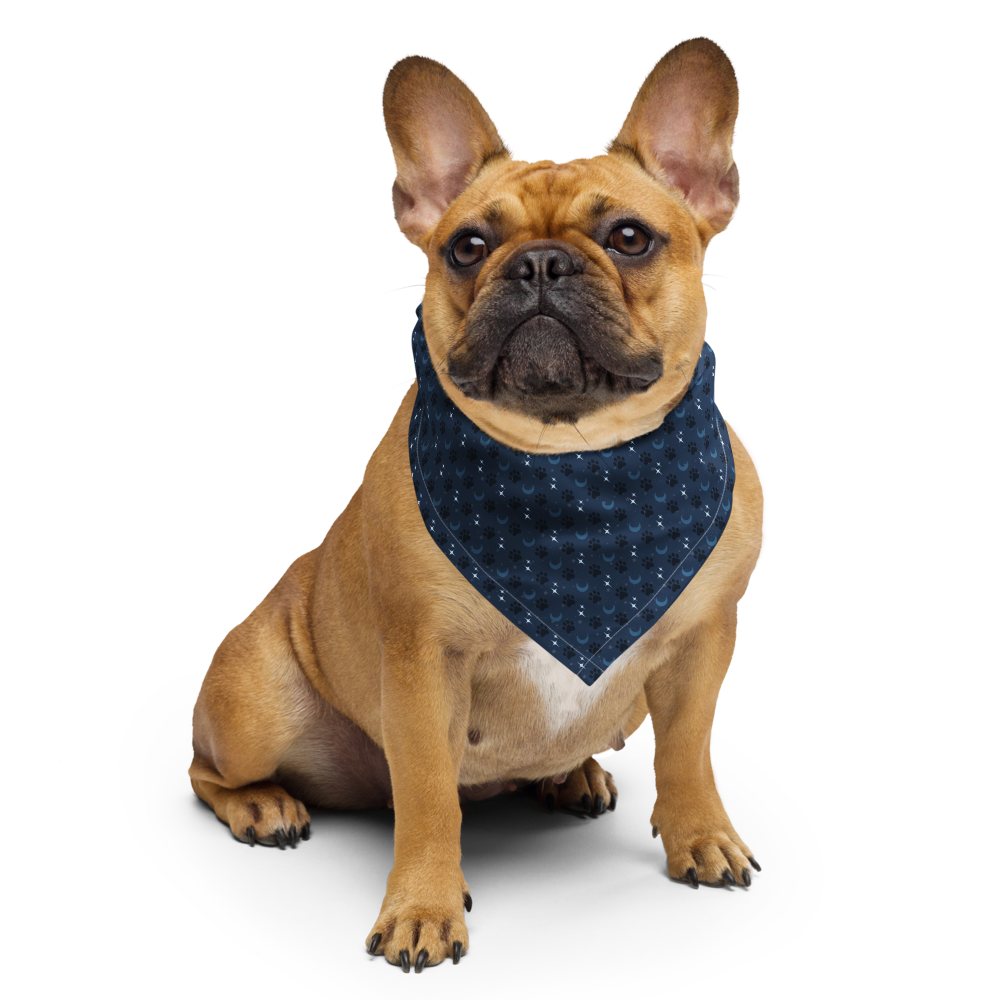 Lunar Bandana — Celestial Companion