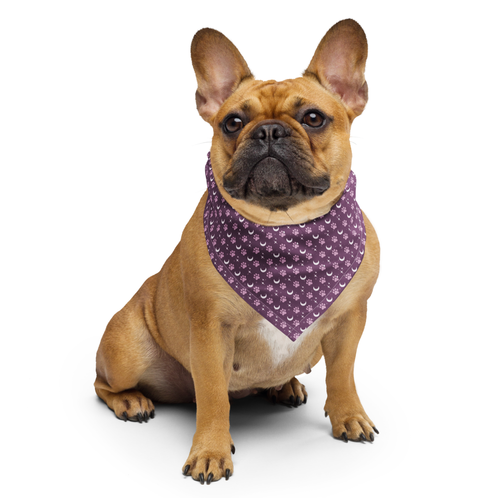 Lunar Bandana — Celestial Companion