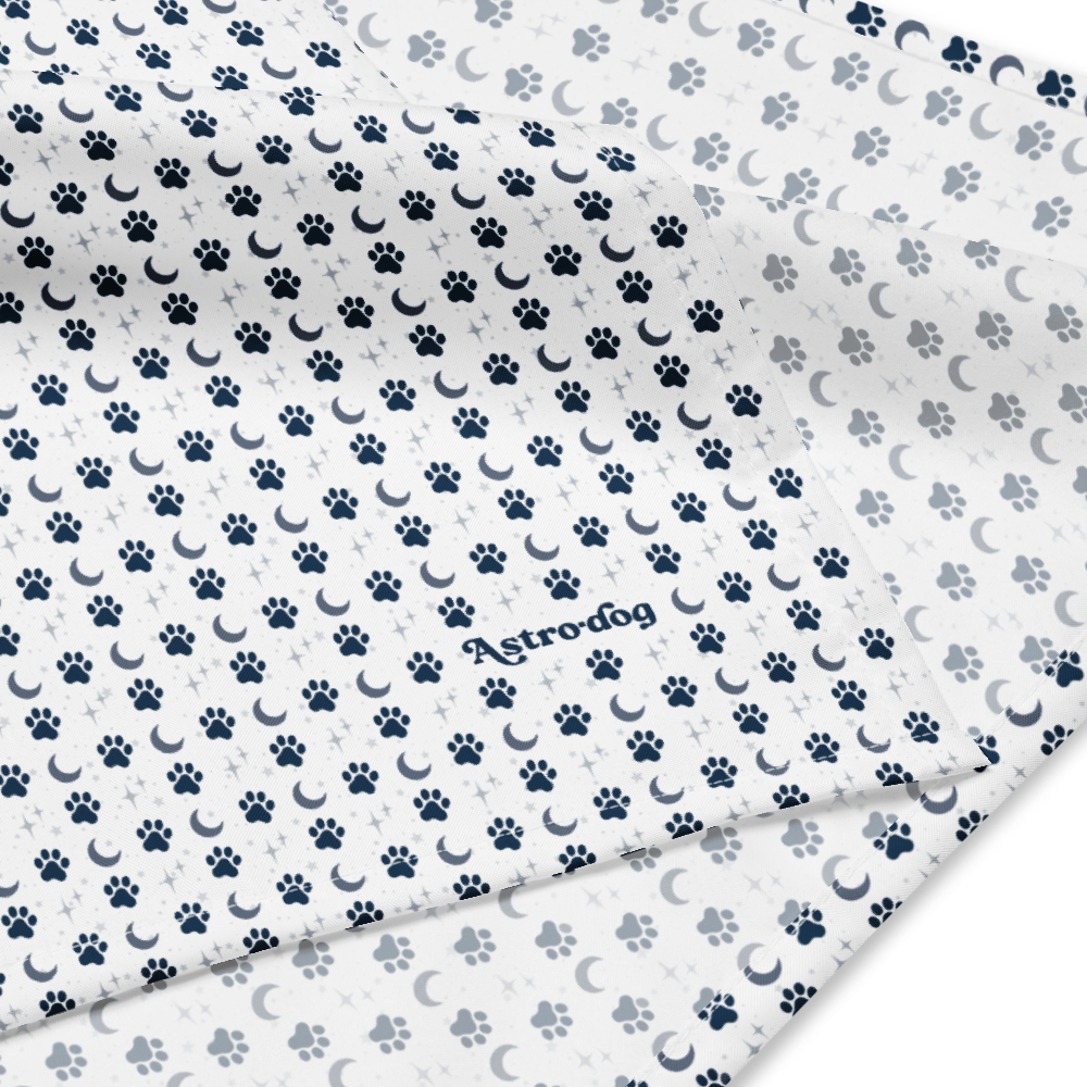 Lunar Bandana — Celestial Companion