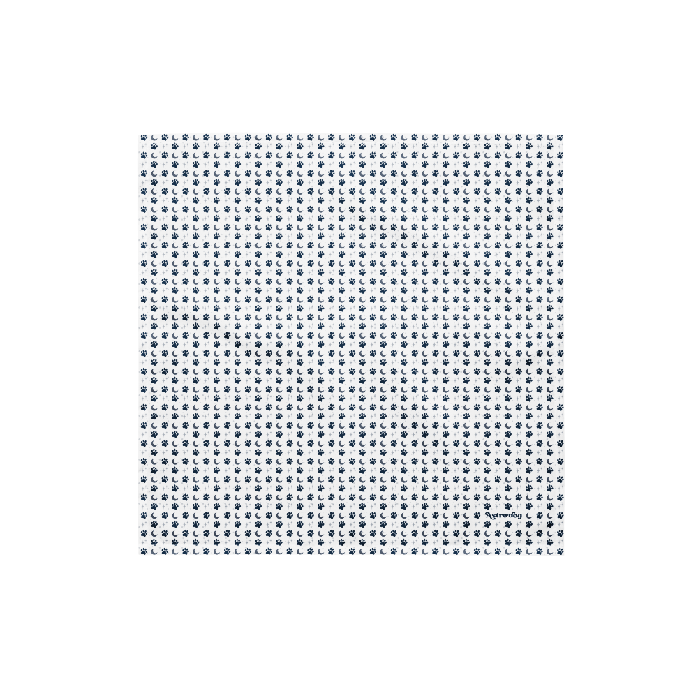 Lunar Bandana — Celestial Companion