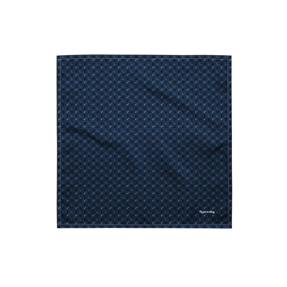 Lunar Bandana — Celestial Companion