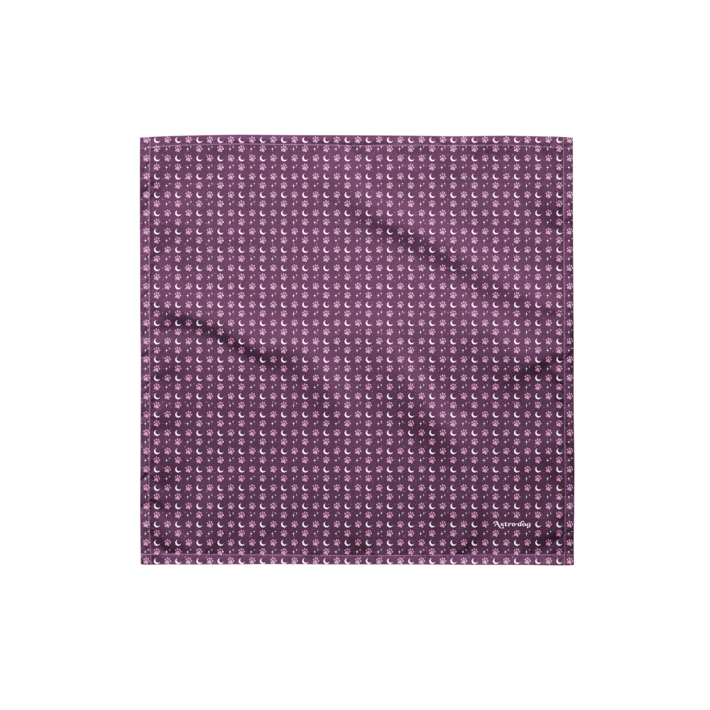 Lunar Bandana — Celestial Companion