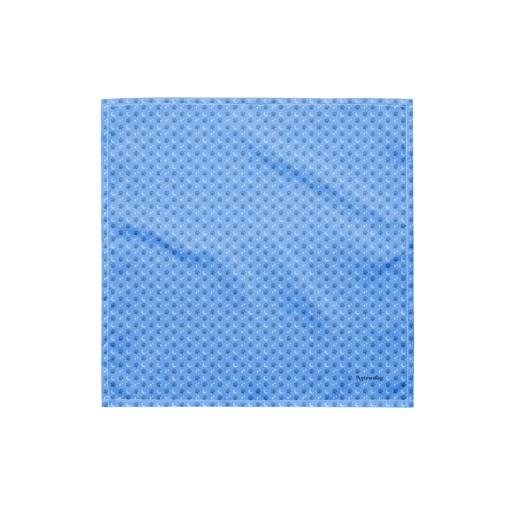 Lunar Bandana — Celestial Companion