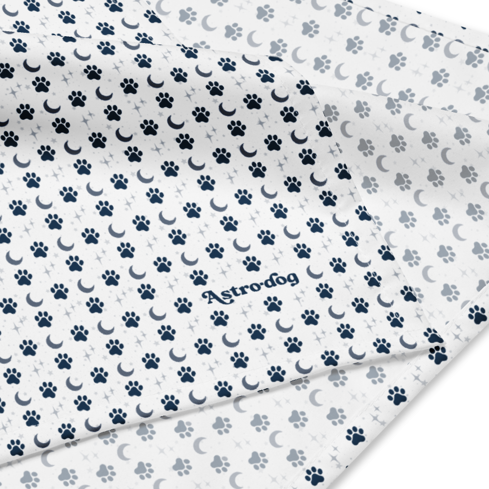 Lunar Bandana — Celestial Companion