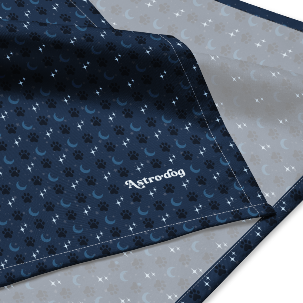 Lunar Bandana — Celestial Companion
