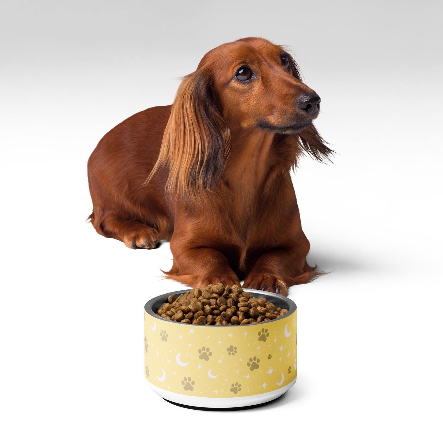 Lunar Pet Bowl — Celestial Companion
