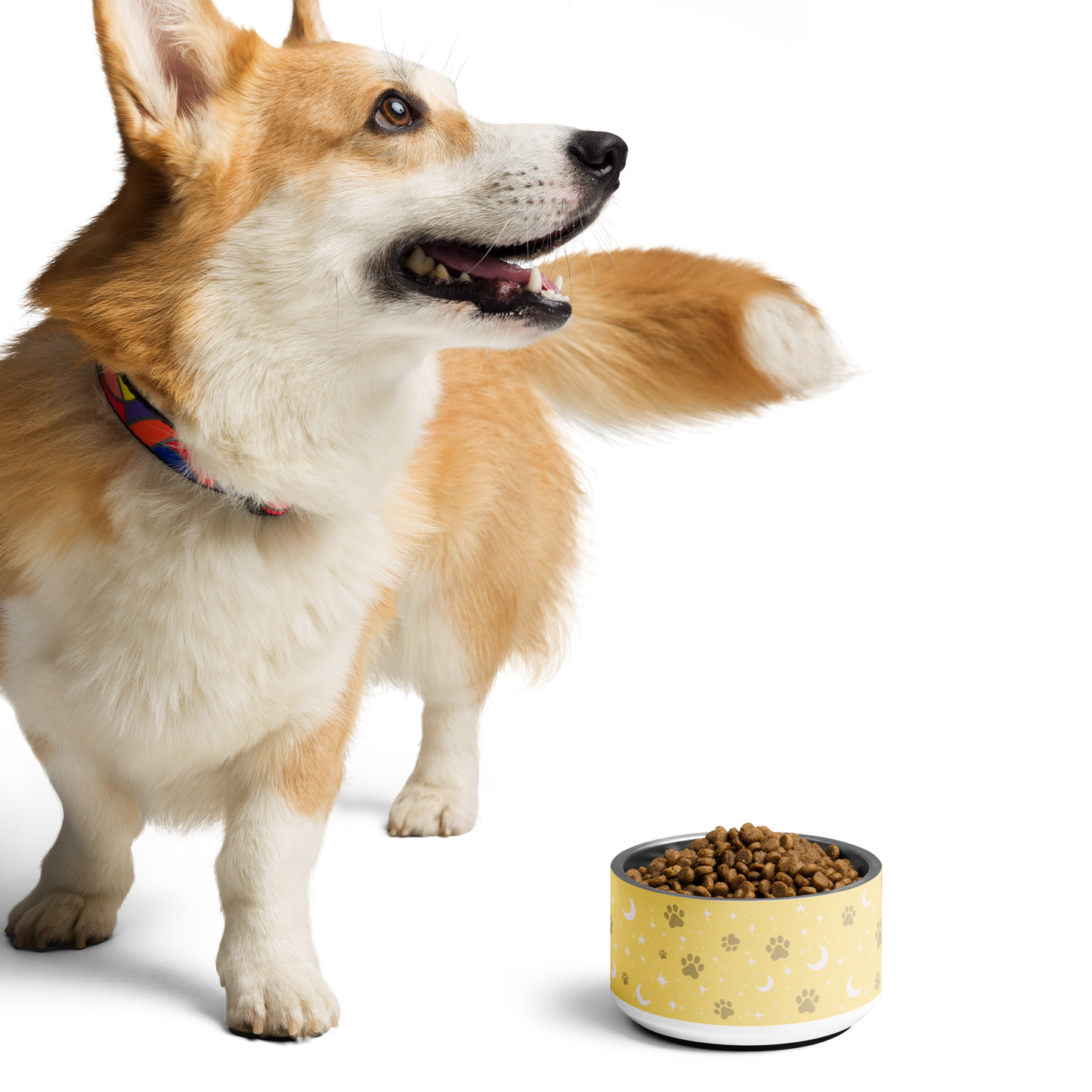 Lunar Pet Bowl — Celestial Companion