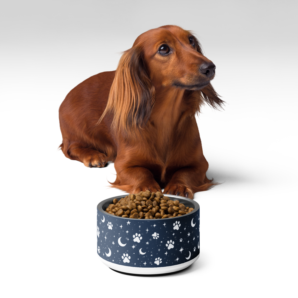 Lunar Pet Bowl — Celestial Companion
