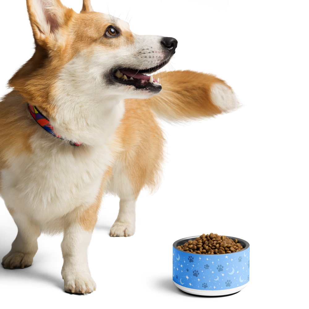 Lunar Pet Bowl — Celestial Companion