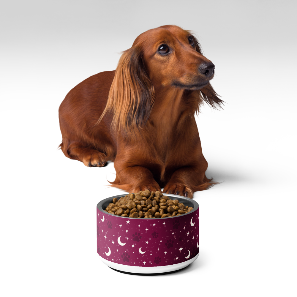 Lunar Pet Bowl — Celestial Companion
