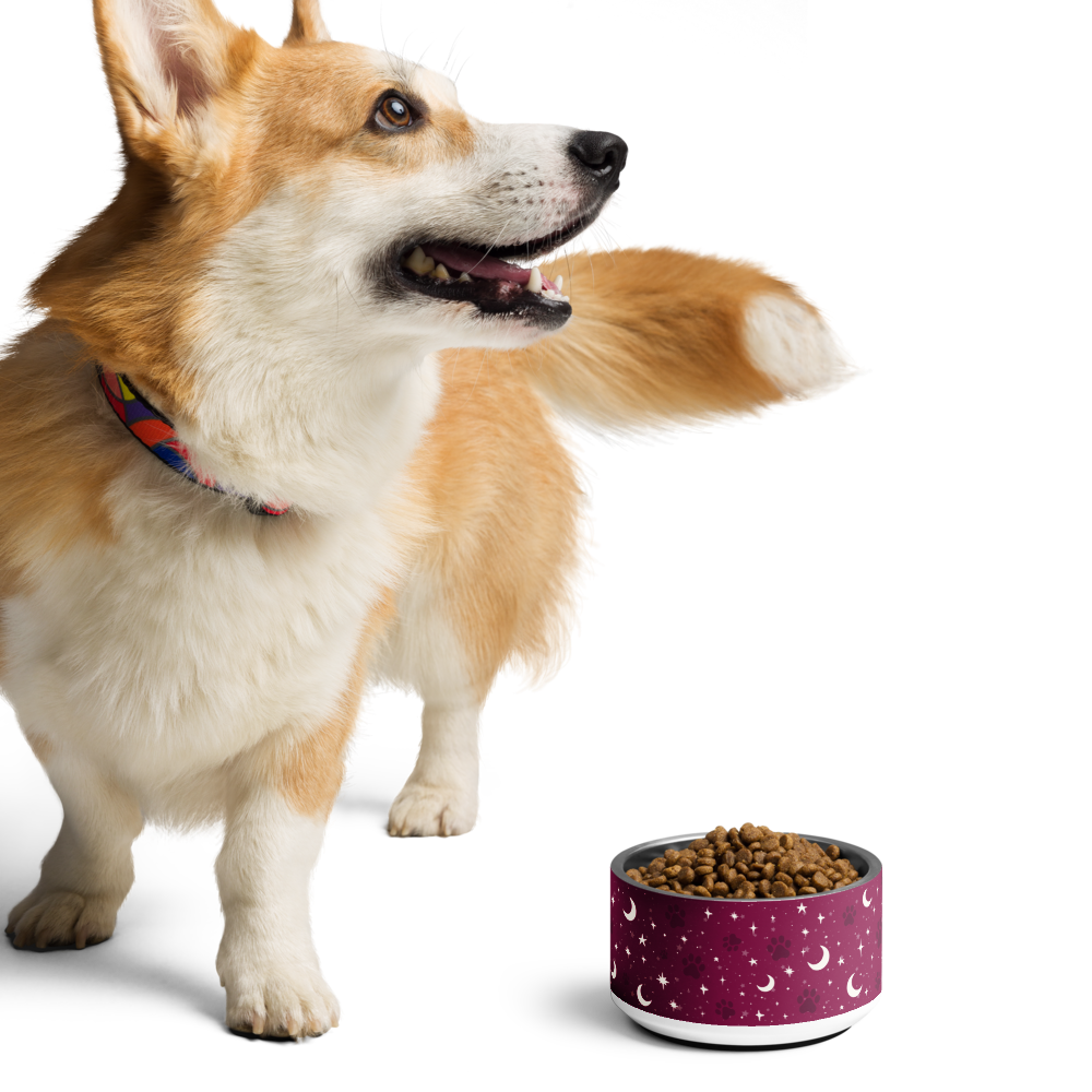Lunar Pet Bowl — Celestial Companion