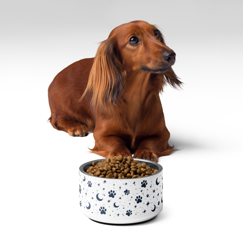 Lunar Pet Bowl — Celestial Companion