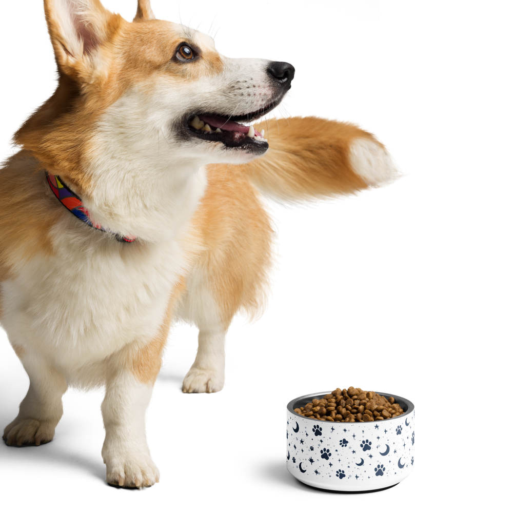 Lunar Pet Bowl — Celestial Companion