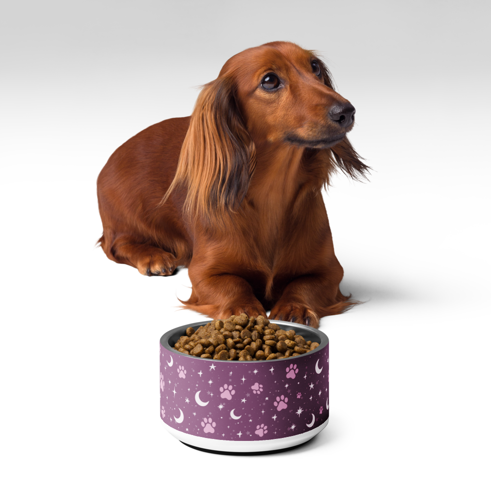 Lunar Pet Bowl — Celestial Companion