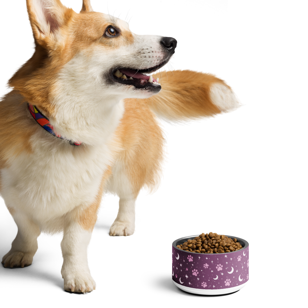 Lunar Pet Bowl — Celestial Companion