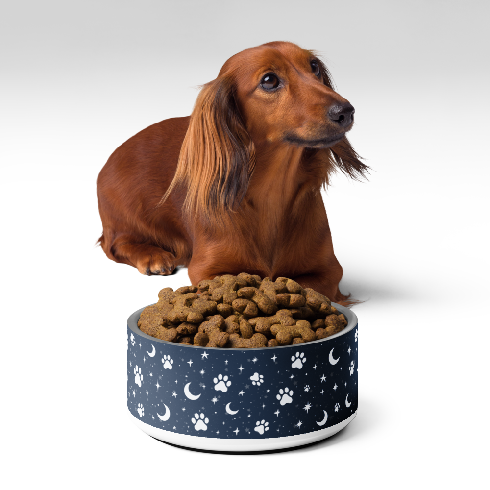 Lunar Pet Bowl — Celestial Companion