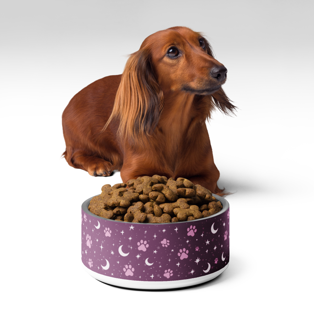 Lunar Pet Bowl — Celestial Companion