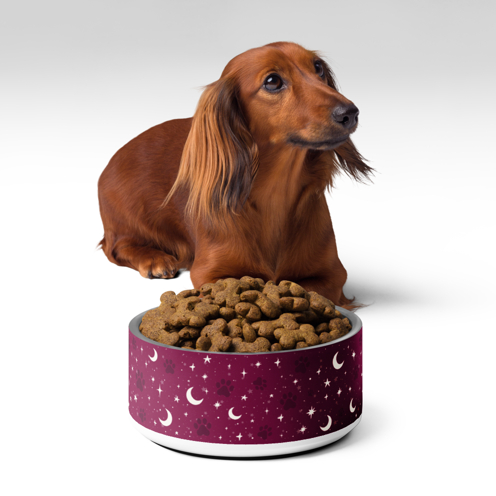 Lunar Pet Bowl — Celestial Companion