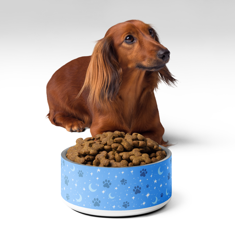 Lunar Pet Bowl — Celestial Companion
