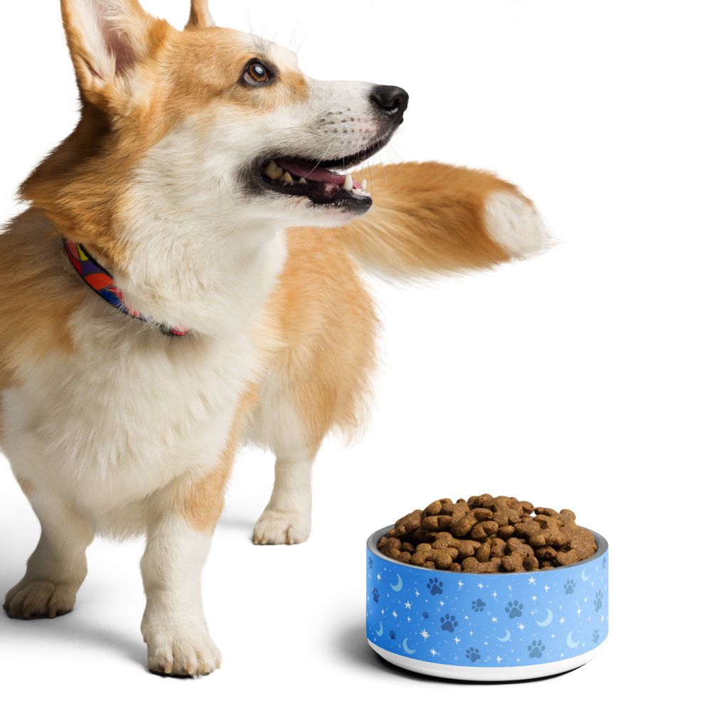 Lunar Pet Bowl — Celestial Companion