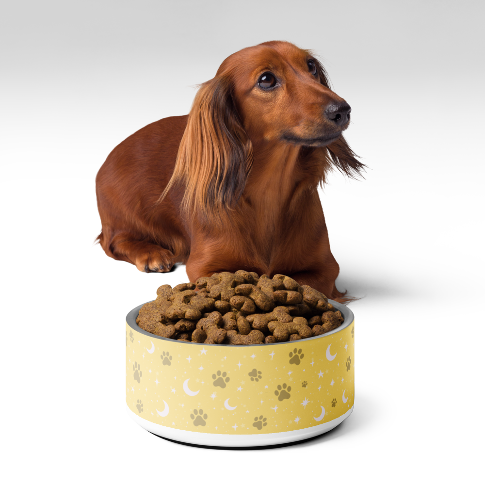 Lunar Pet Bowl — Celestial Companion