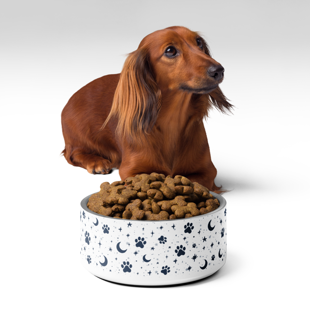 Lunar Pet Bowl — Celestial Companion