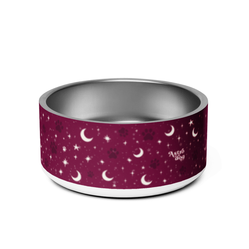 Lunar Pet Bowl — Celestial Companion